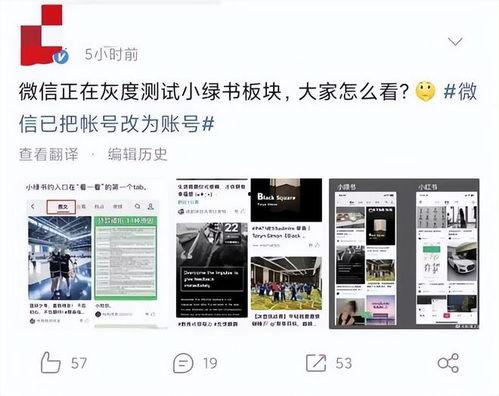 小绿爆料完整视频在线观看,揭秘事件真相，带你一探究竟  第1张